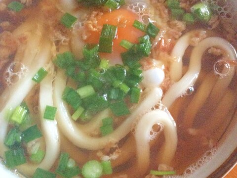 フライドオニオン麺つゆうどん